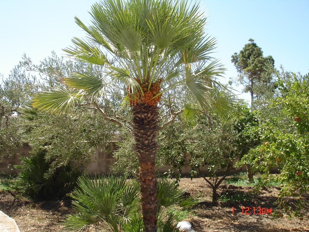 מרינלה B&B Garzia מראה חיצוני תמונה